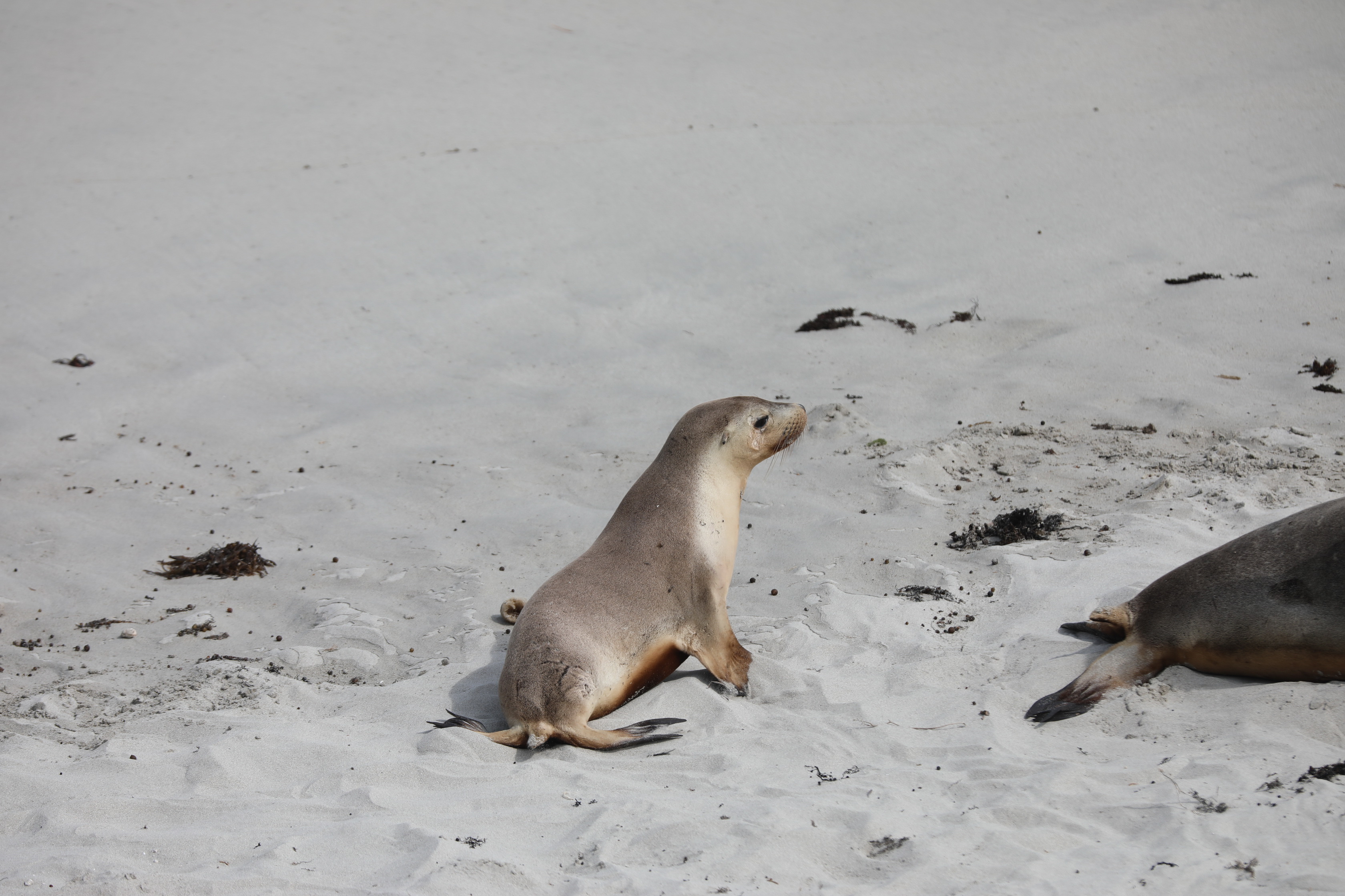 2019 09 29 13 49 27 Canon EOS 5D Mark IV 0038